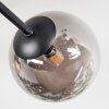 Chehalis Plafoniera, Lampada a sfera Ambrato, Grigio fumo, 6-Luci