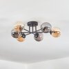 Chehalis Plafoniera, Lampada a sfera Ambrato, Grigio fumo, 6-Luci
