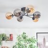 Chehalis Plafoniera, Lampada a sfera Ambrato, Grigio fumo, 6-Luci