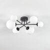Chehalis Plafoniera, Lampada a sfera Bianco, 6-Luci