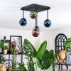 Chehalis Plafoniera, Lampada a sfera Blu, Verde, Ramato, 5-Luci