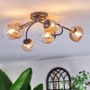 Chehalis Plafoniera, Lampada a sfera Ambrato, Chiaro, 6-Luci