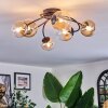 Chehalis Plafoniera, Lampada a sfera Ambrato, Chiaro, 6-Luci