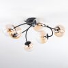 Chehalis Plafoniera, Lampada a sfera Ambrato, Chiaro, 6-Luci