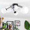 Chehalis Plafoniera, Lampada a sfera 60 cm Bianco, 6-Luci