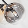 Chehalis Plafoniera, Lampada a sfera 60 cm Ambrato, Chiaro, Grigio fumo, 6-Luci Chehalis Plafoniera, Lampada a sfera 60 cm Ambrato, Chiaro, Grigio fumo, 6-Luci