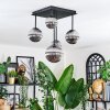 Chehalis Plafoniera, Lampada a sfera Grigio fumo, 5-Luci