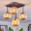 Chehalis Plafoniera, Lampada a sfera Ambrato, 5-Luci