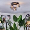 Chehalis Plafoniera, Lampada a sfera 34 cm Chiaro, Grigio fumo, 3-Luci
