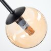 Chehalis Plafoniera, Lampada a sfera Ambrato, Grigio fumo, 5-Luci