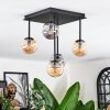 Chehalis Plafoniera, Lampada a sfera Ambrato, Grigio fumo, 5-Luci