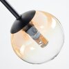 Chehalis Plafoniera, Lampada a sfera Ambrato, Chiaro, 5-Luci