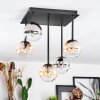 Chehalis Plafoniera, Lampada a sfera Ambrato, Chiaro, Grigio fumo, 5-Luci