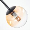 Chehalis Plafoniera, Lampada a sfera Ambrato, Chiaro, Grigio fumo, 5-Luci