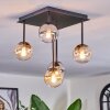 Chehalis Plafoniera, Lampada a sfera Ambrato, Chiaro, Grigio fumo, 5-Luci