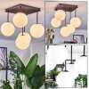 Chehalis Plafoniera, Lampada a sfera Bianco, 5-Luci