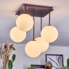 Chehalis Plafoniera, Lampada a sfera Bianco, 5-Luci