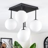 Chehalis Plafoniera, Lampada a sfera Bianco, 5-Luci