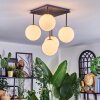 Chehalis Plafoniera, Lampada a sfera Bianco, 5-Luci
