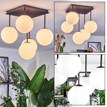 Chehalis Plafoniera, Lampada a sfera Bianco, 5-Luci