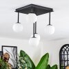 Chehalis Plafoniera, Lampada a sfera Bianco, 5-Luci