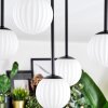 Chehalis Plafoniera, Lampada a sfera Bianco, 5-Luci