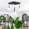 Chehalis Plafoniera, Lampada a sfera Bianco, 5-Luci