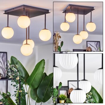 Chehalis Plafoniera, Lampada a sfera Bianco, 5-Luci