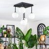Chehalis Plafoniera, Lampada a sfera Bianco, 5-Luci