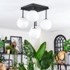 Chehalis Plafoniera, Lampada a sfera Bianco, 5-Luci