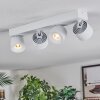 Narel Plafoniera, Faretto da soffitto LED Bianco, 4-Luci