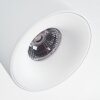 Narel Plafoniera, Faretto da soffitto LED Bianco, 4-Luci