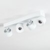 Narel Plafoniera, Faretto da soffitto LED Bianco, 4-Luci