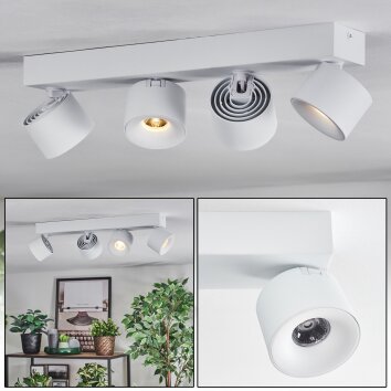 Narel Plafoniera, Faretto da soffitto LED Bianco, 4-Luci