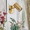 Javel Applique, Faretto da parete Oro, 1-Luce
