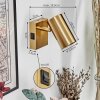Javel Applique, Faretto da parete Oro, 1-Luce