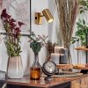 Javel Applique, Faretto da parete Oro, 1-Luce