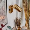 Javel Applique, Faretto da parete Oro, 1-Luce