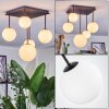 Chehalis Plafoniera, Lampada a sfera Bianco, 5-Luci