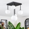 Chehalis Plafoniera, Lampada a sfera Bianco, 5-Luci