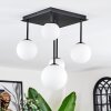 Chehalis Plafoniera, Lampada a sfera Bianco, 5-Luci