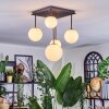 Chehalis Plafoniera, Lampada a sfera Bianco, 5-Luci