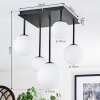 Chehalis Plafoniera, Lampada a sfera Bianco, 5-Luci