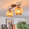 Gastor Plafoniera, Lampada a sfera Ambrato, 2-Luci