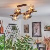 Koyoto Plafoniera, Lampada a sfera Oro, Nero, 8-Luci