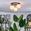 Chehalis Plafoniera, Lampada a sfera Bianco, 3-Luci