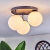 Chehalis Plafoniera, Lampada a sfera Bianco, 3-Luci