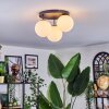 Chehalis Plafoniera, Lampada a sfera Bianco, 3-Luci