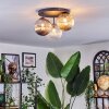 Chehalis Plafoniera, Lampada a sfera Ambrato, Chiaro, Grigio fumo, 3-Luci