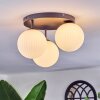 Chehalis Plafoniera, Lampada a sfera Bianco, 3-Luci